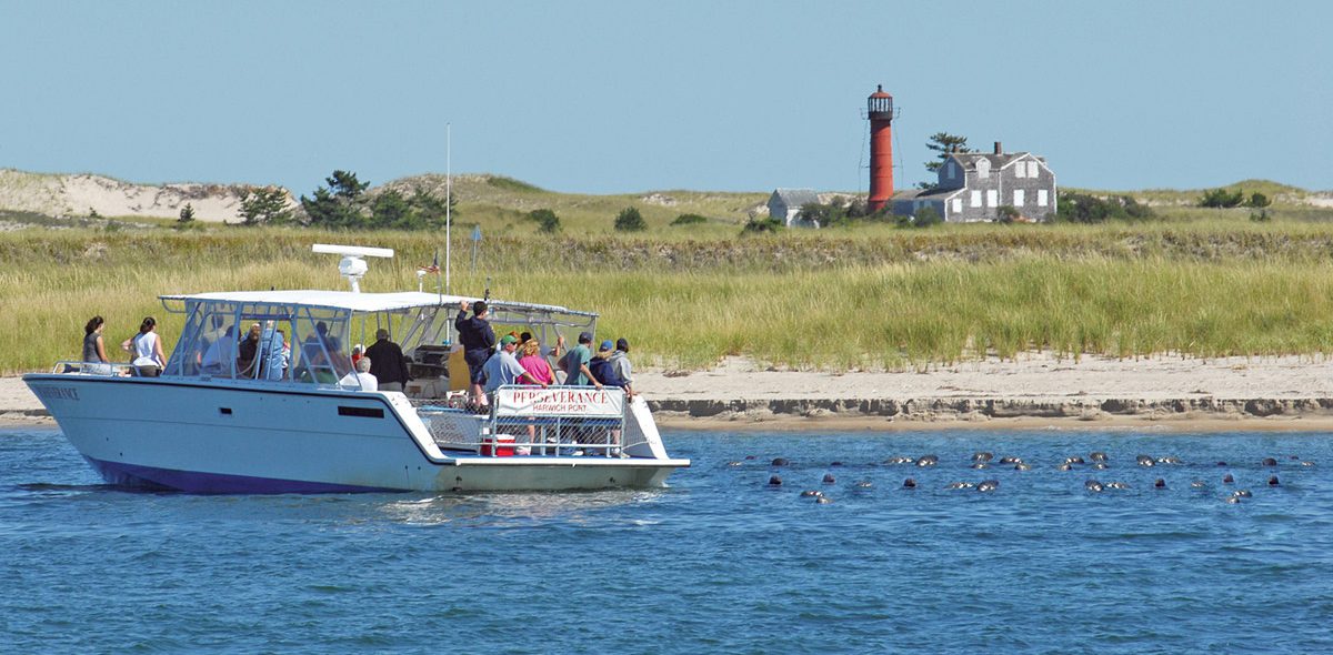 11 Best Adventure Activities on Cape Cod 2021 List Cape Cod Vacation